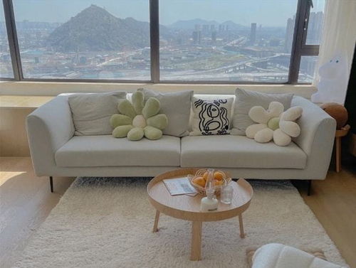 假精致”的4件家居用品 费钱、占空间还糟心，别再盲目跟风了